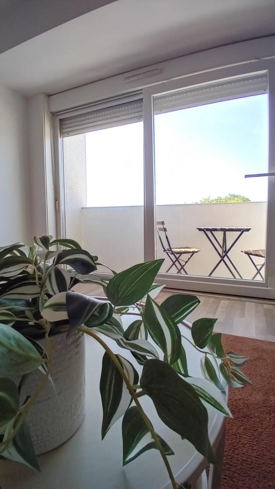 Apartamento Jardim Do Morro